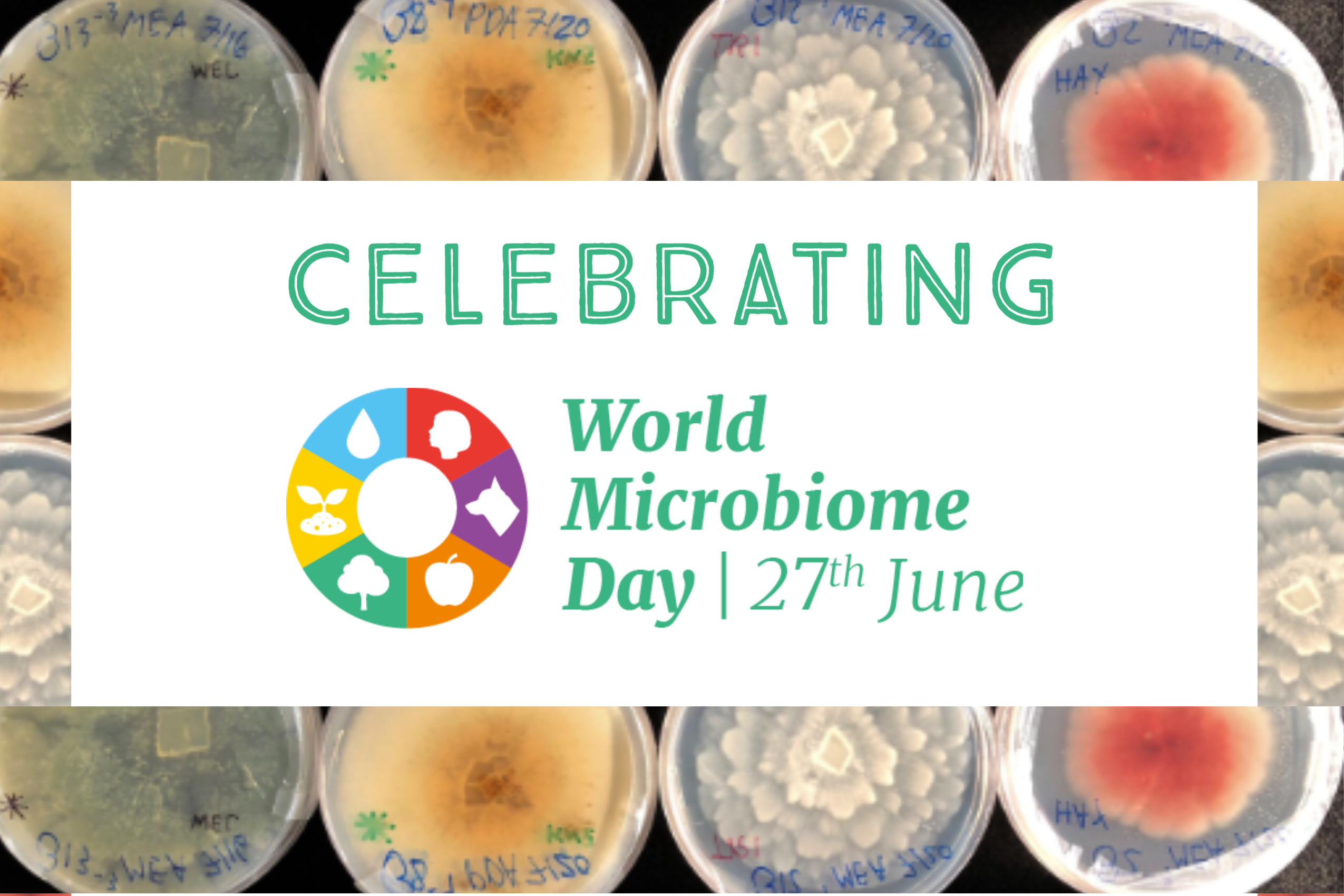 Microbiome day June 27