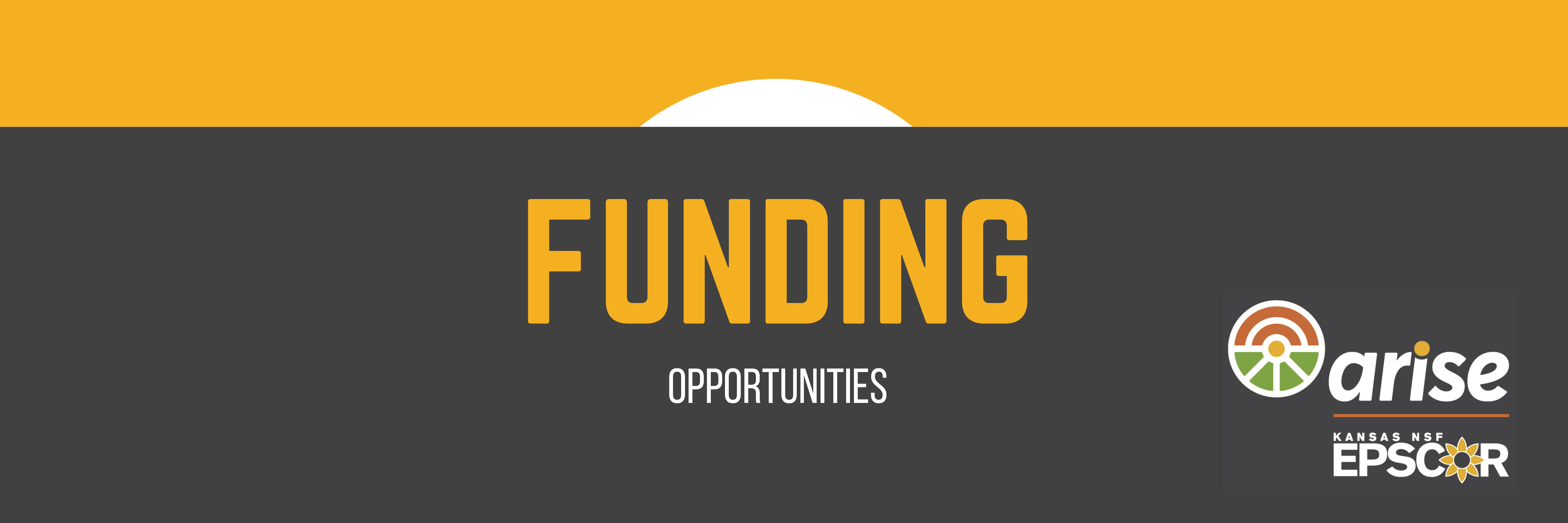 Funding opportunities