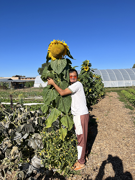Alej Martinez hugs 8 foot tall sunflower