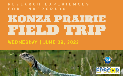 Konza Prairie Field Trip